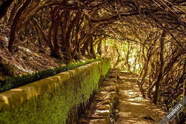 Vila Feliz Paul do Mar  Dış mekan fotoğraf